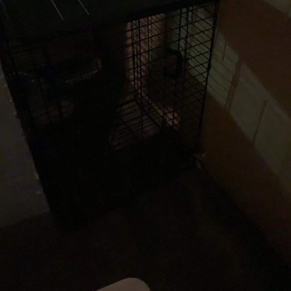 Random items - Picture 8 of 12